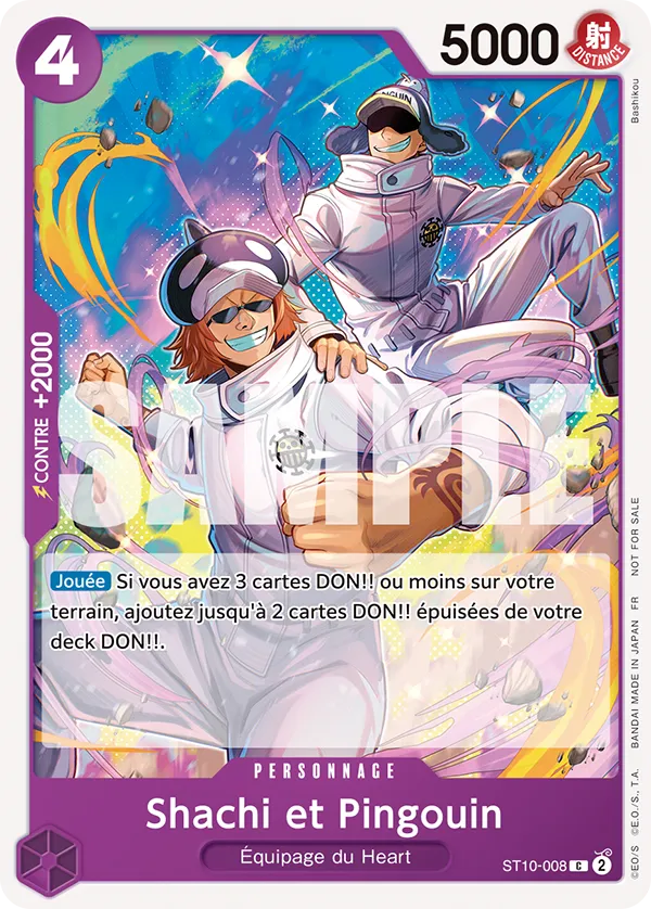 Shachi et Pingouin