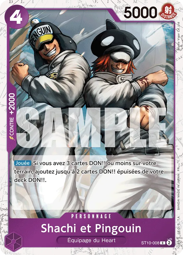 Shachi et Pingouin