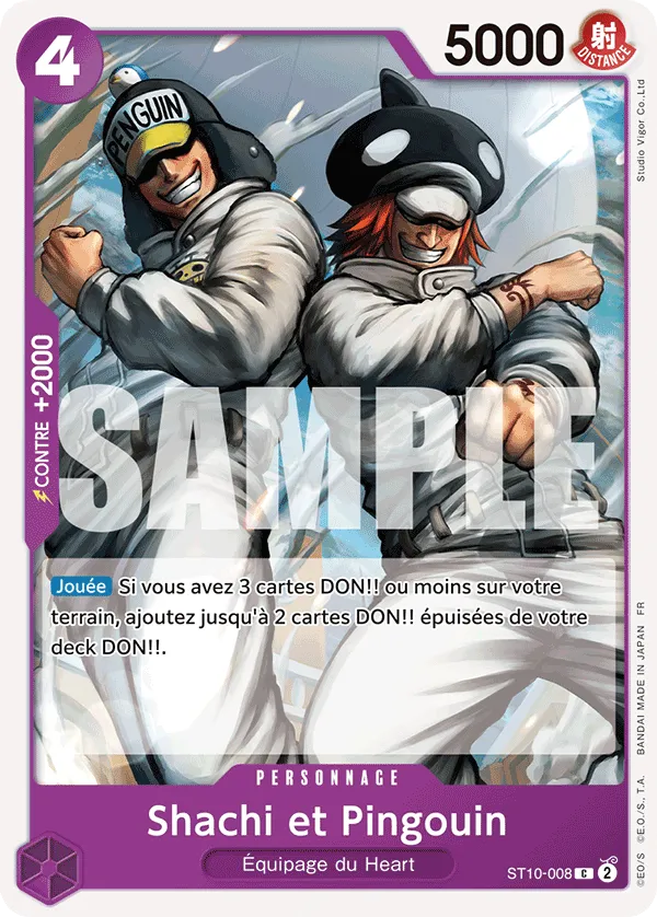 Shachi et Pingouin