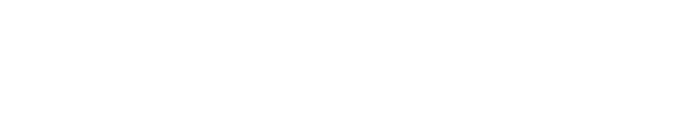 LE ROI