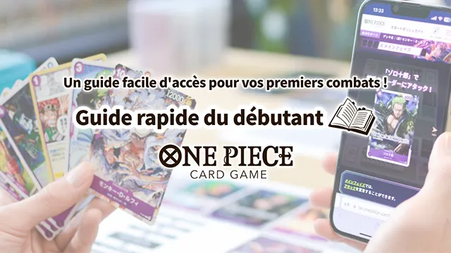 Guide rapide du débutant